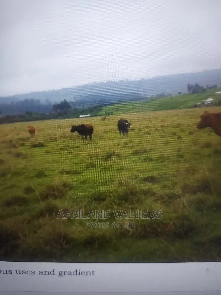 Discover Karunga Land for Sale in Gilgil: Your Perfect Piece of Land! in Karunga