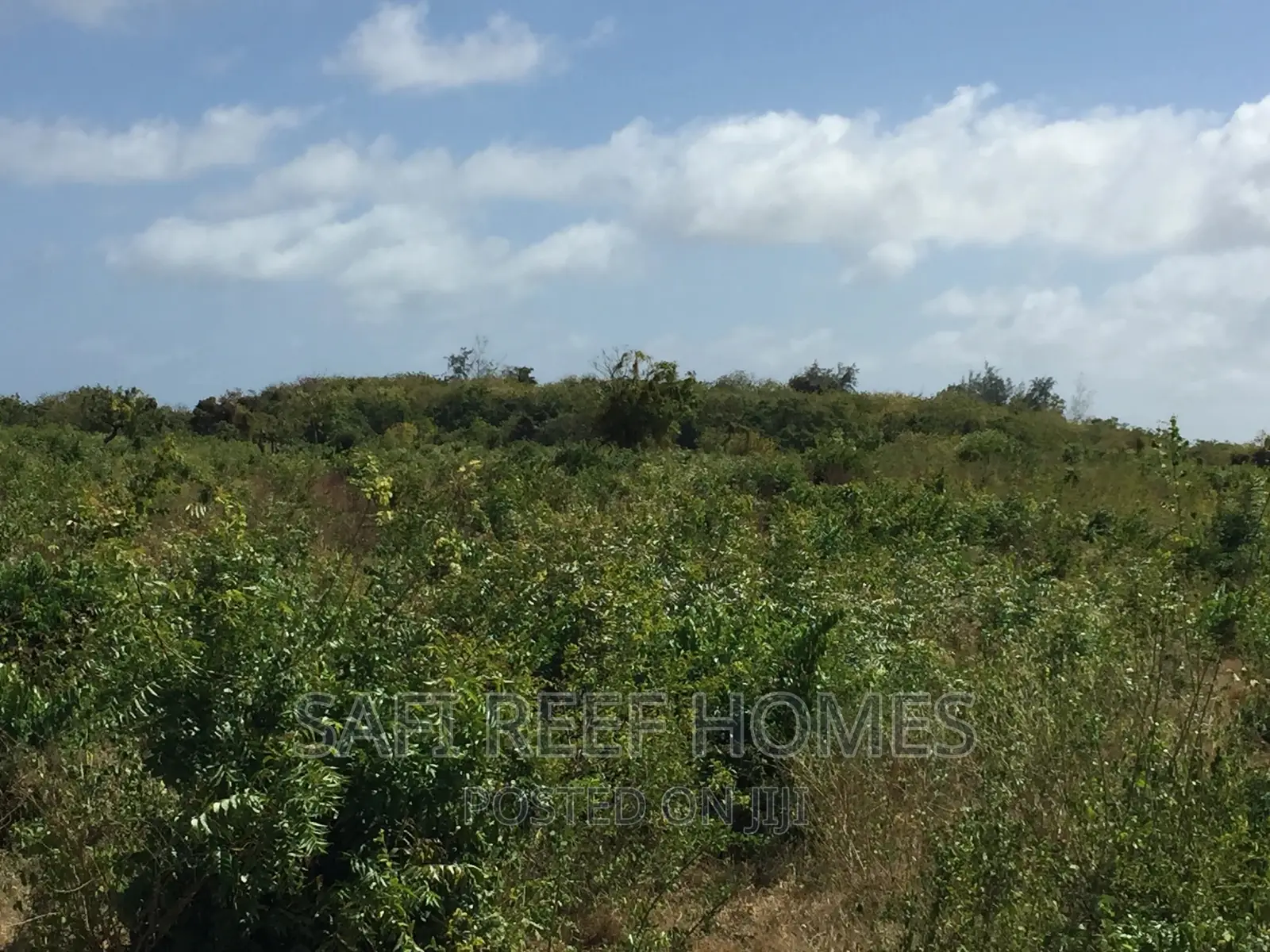 Discover the 4.5-Acre Exclusive Property on Second Row Kikambala in Mtwapa
