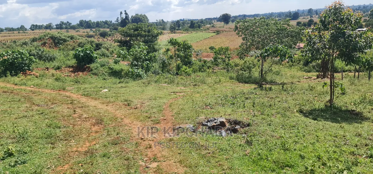2-Acre Land Parcel Adjacent to Bypass in Lemuk'o Kapsetet, Eldoret in Kapseret