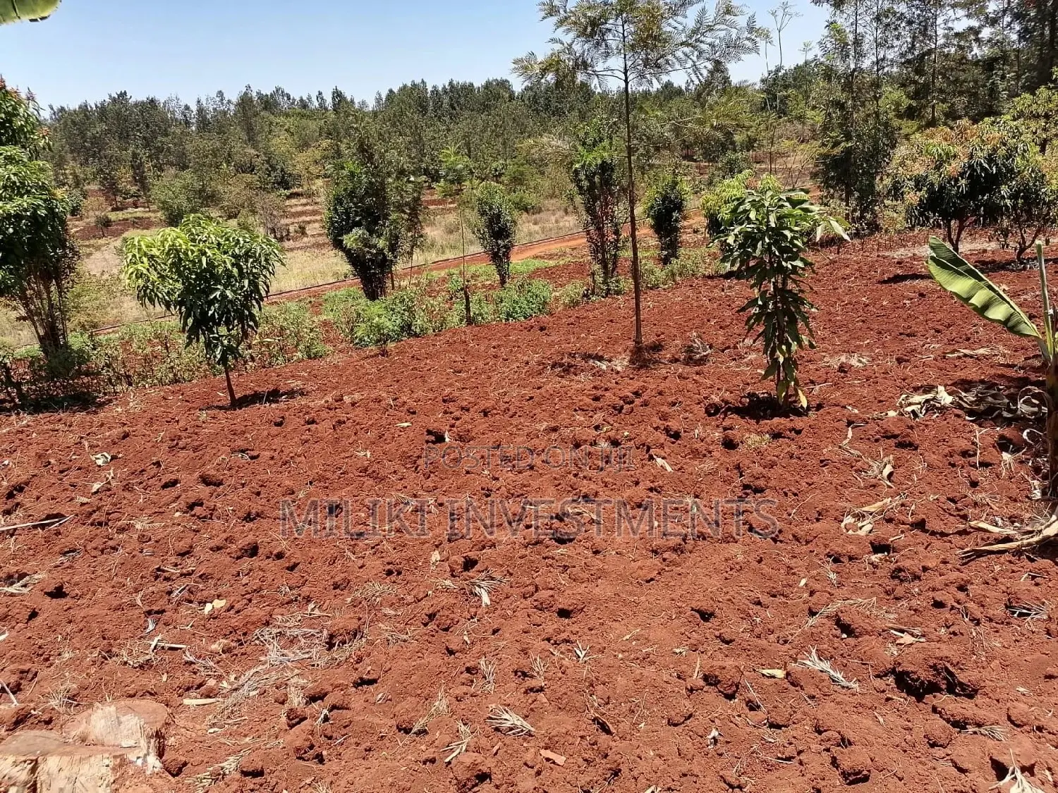 Quarter Acre Land for Sale in Sabasaba - Build Your Future Today! in Kimorori/Wempa
