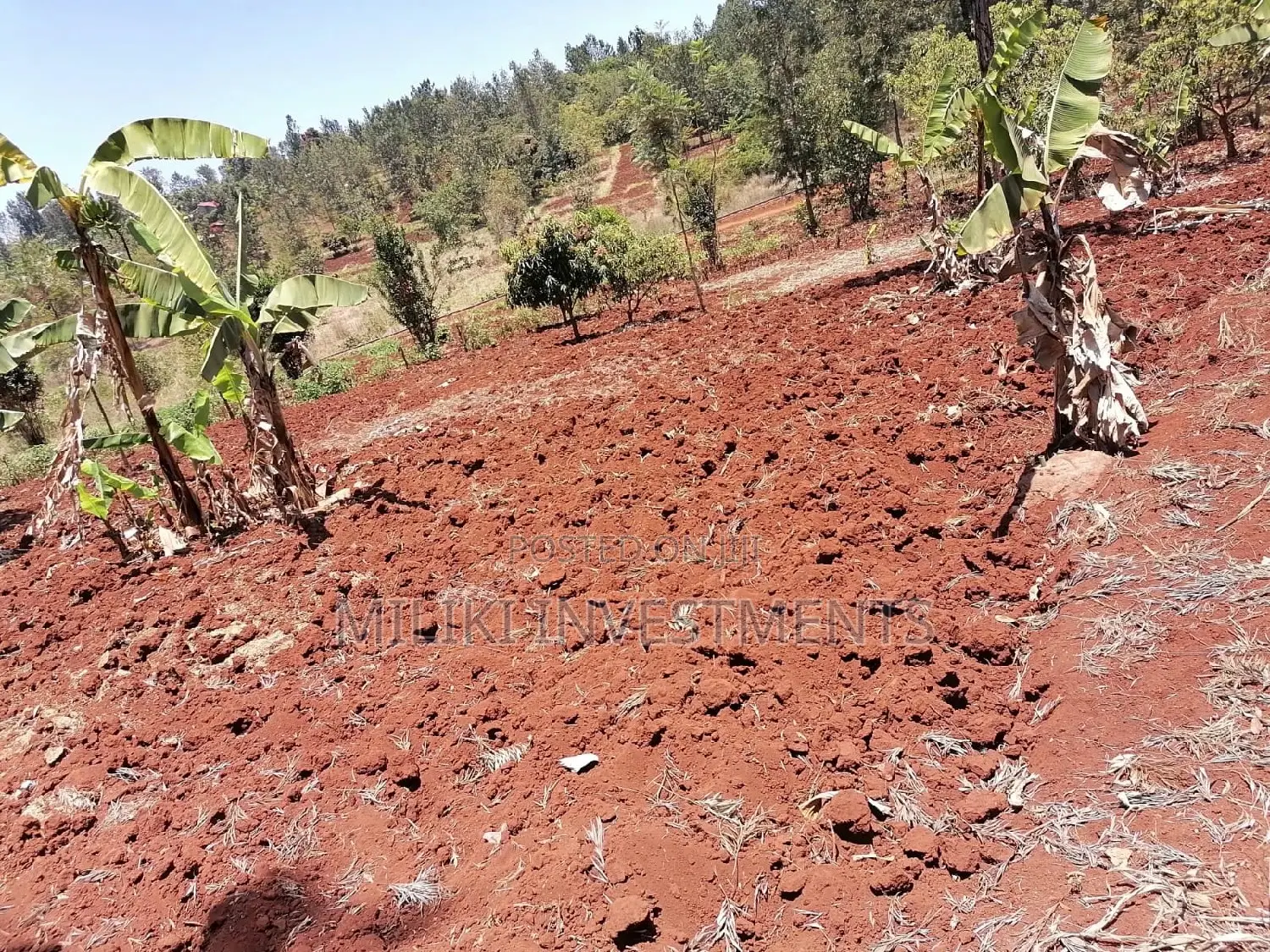 Quarter Acre Land for Sale in Sabasaba - Build Your Future Today! in Kimorori/Wempa
