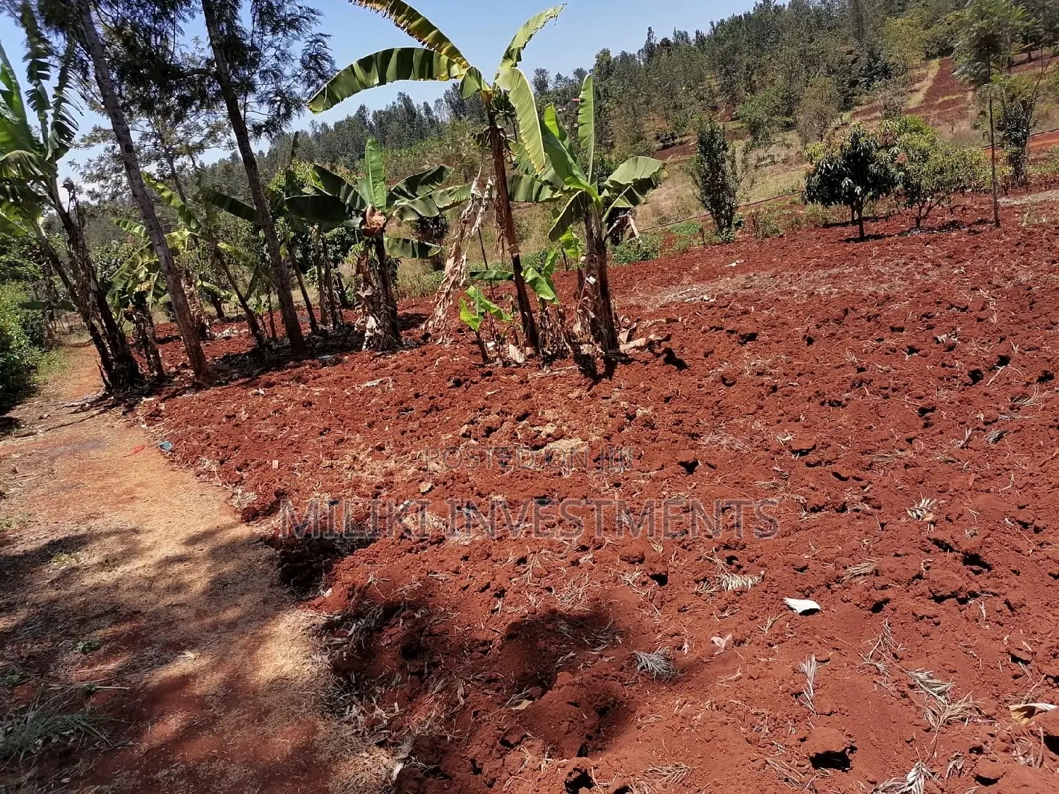 Quarter Acre Land for Sale in Sabasaba - Build Your Future Today! in Kimorori/Wempa