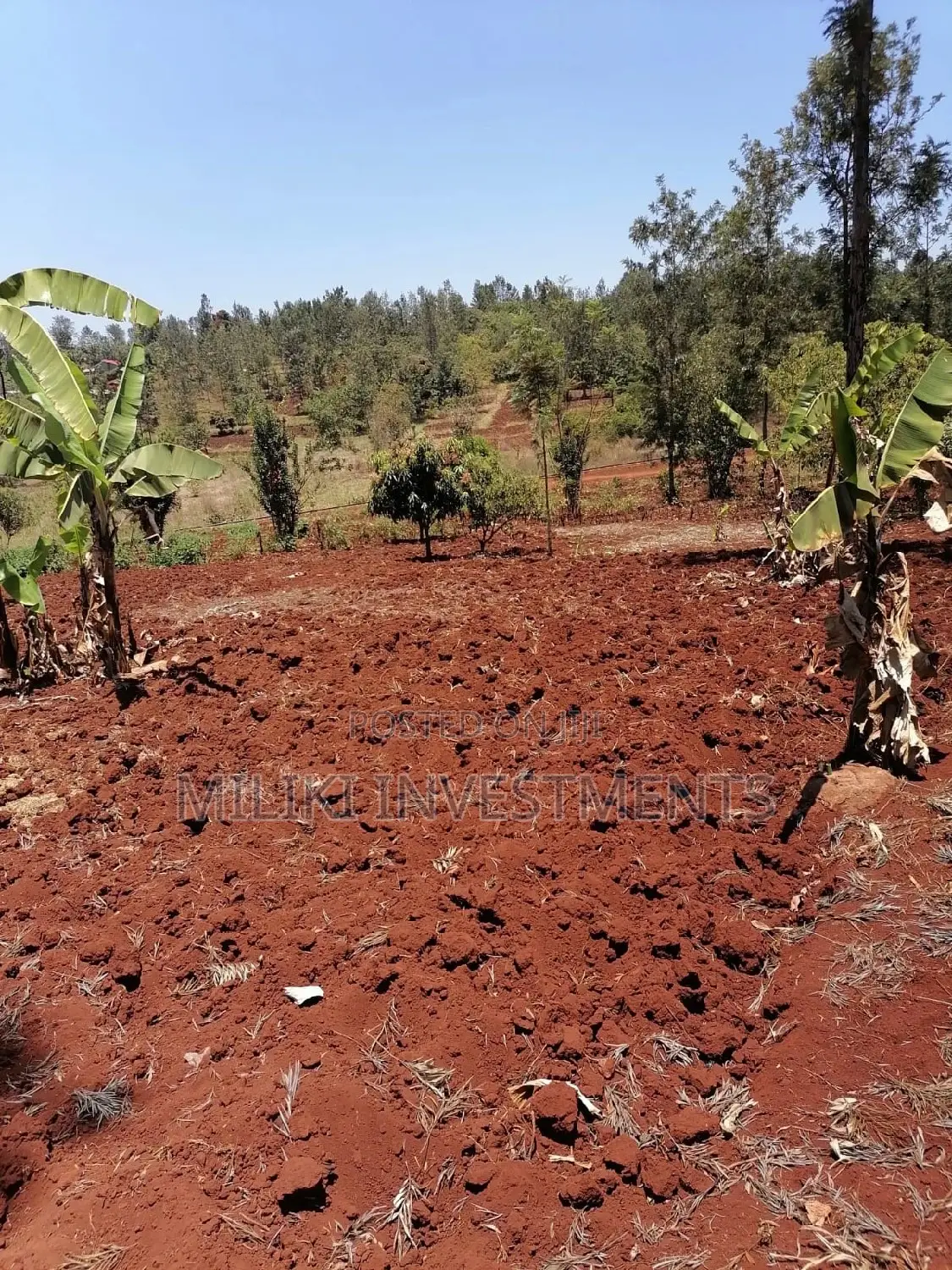 Quarter Acre Land for Sale in Sabasaba - Build Your Future Today! in Kimorori/Wempa