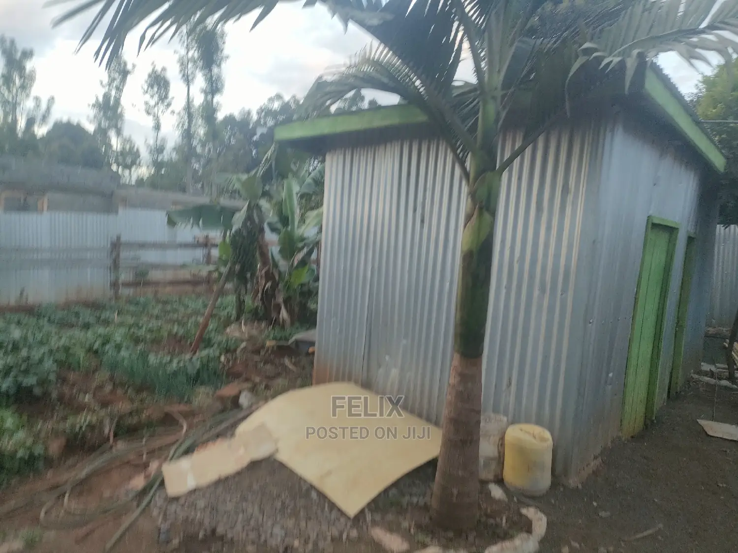 4 Bedroomed House Karatina/Mathaithi in Karatina Town