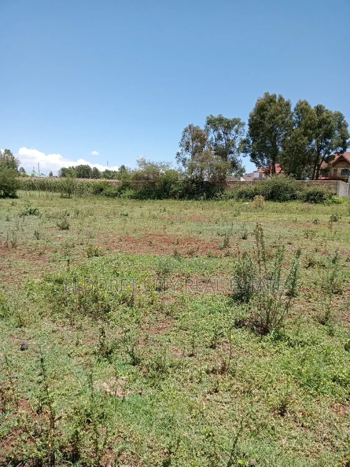 Hilltop Residential 1/4 Acre - Your Chance for a Home with a View in Eldoret CBD