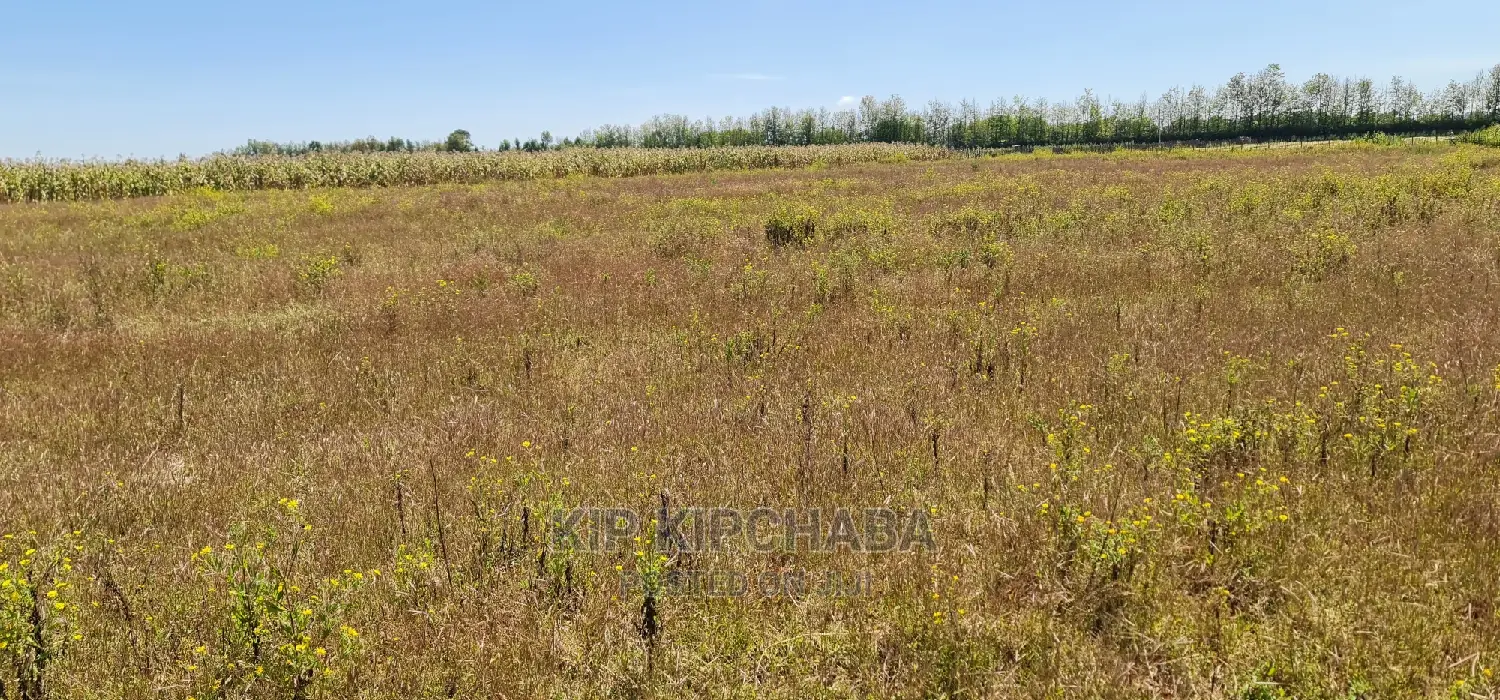 Affordable 1/4 Plots for Sale in Kimumu Marura, Eldoret - Close to Highway in Kimumu