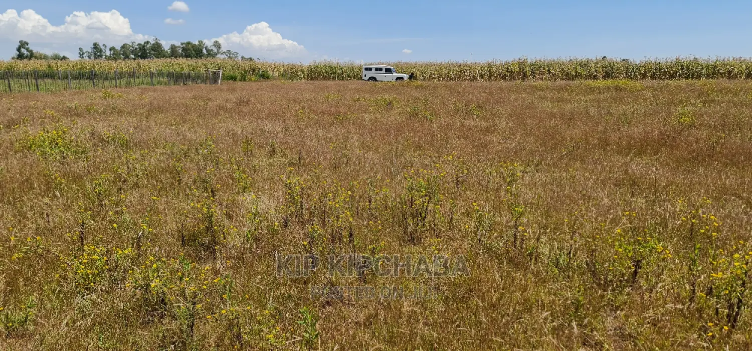 Affordable 1/4 Plots for Sale in Kimumu Marura, Eldoret - Close to Highway in Kimumu