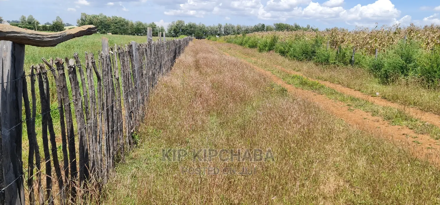 Affordable 1/4 Plots for Sale in Kimumu Marura, Eldoret - Close to Highway in Kimumu