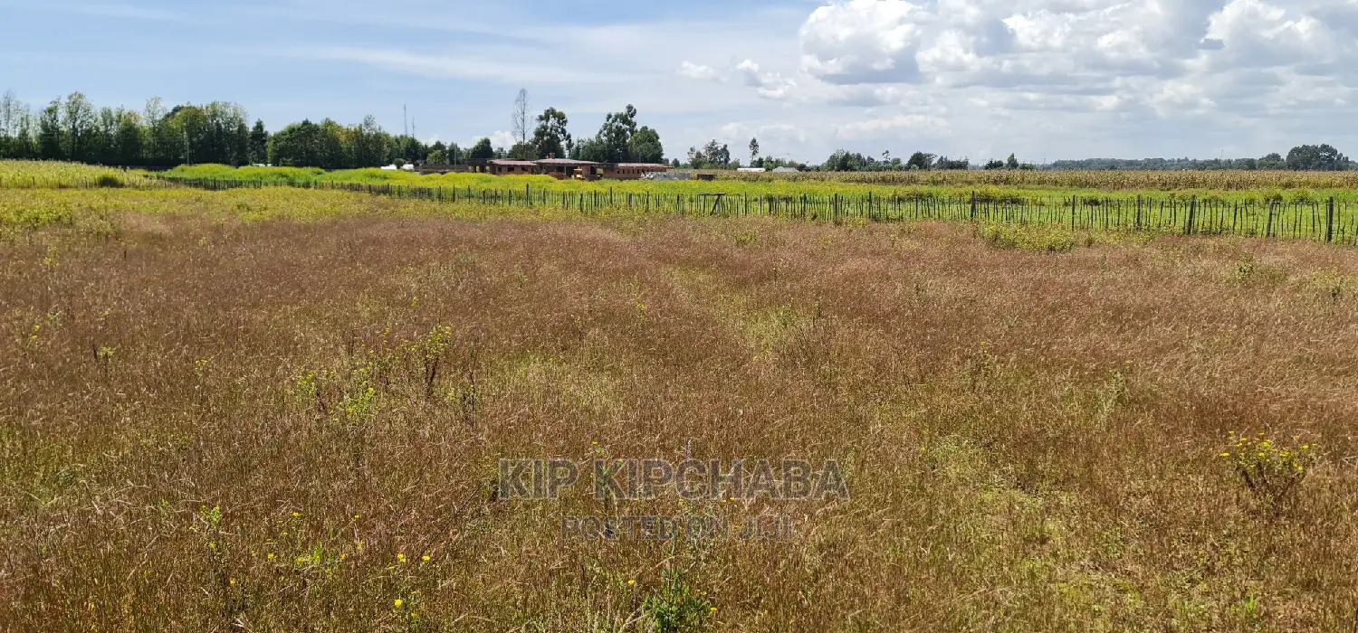 Affordable 1/4 Plots for Sale in Kimumu Marura, Eldoret - Close to Highway in Kimumu
