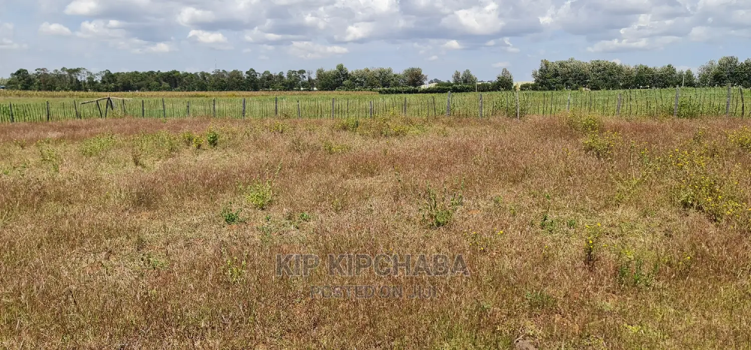 Affordable 1/4 Plots for Sale in Kimumu Marura, Eldoret - Close to Highway in Kimumu