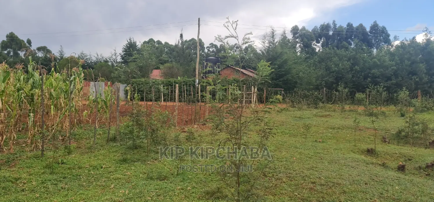 Affordable Plots for Sale on Segero Rivertex Road in Eldore in Kipkenyo