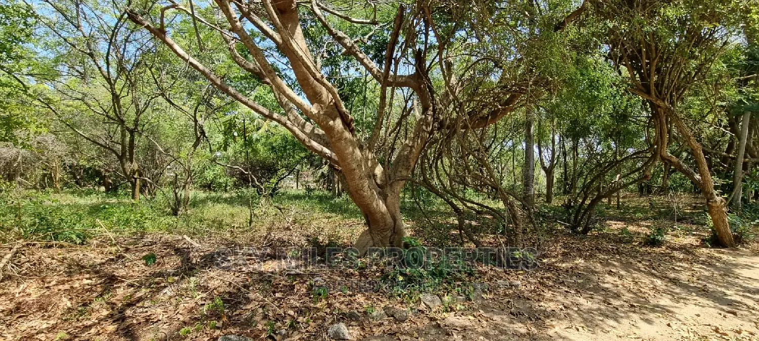 Half Acre Creekside Beach Property in Mtwapa for Sale in Mtwapa