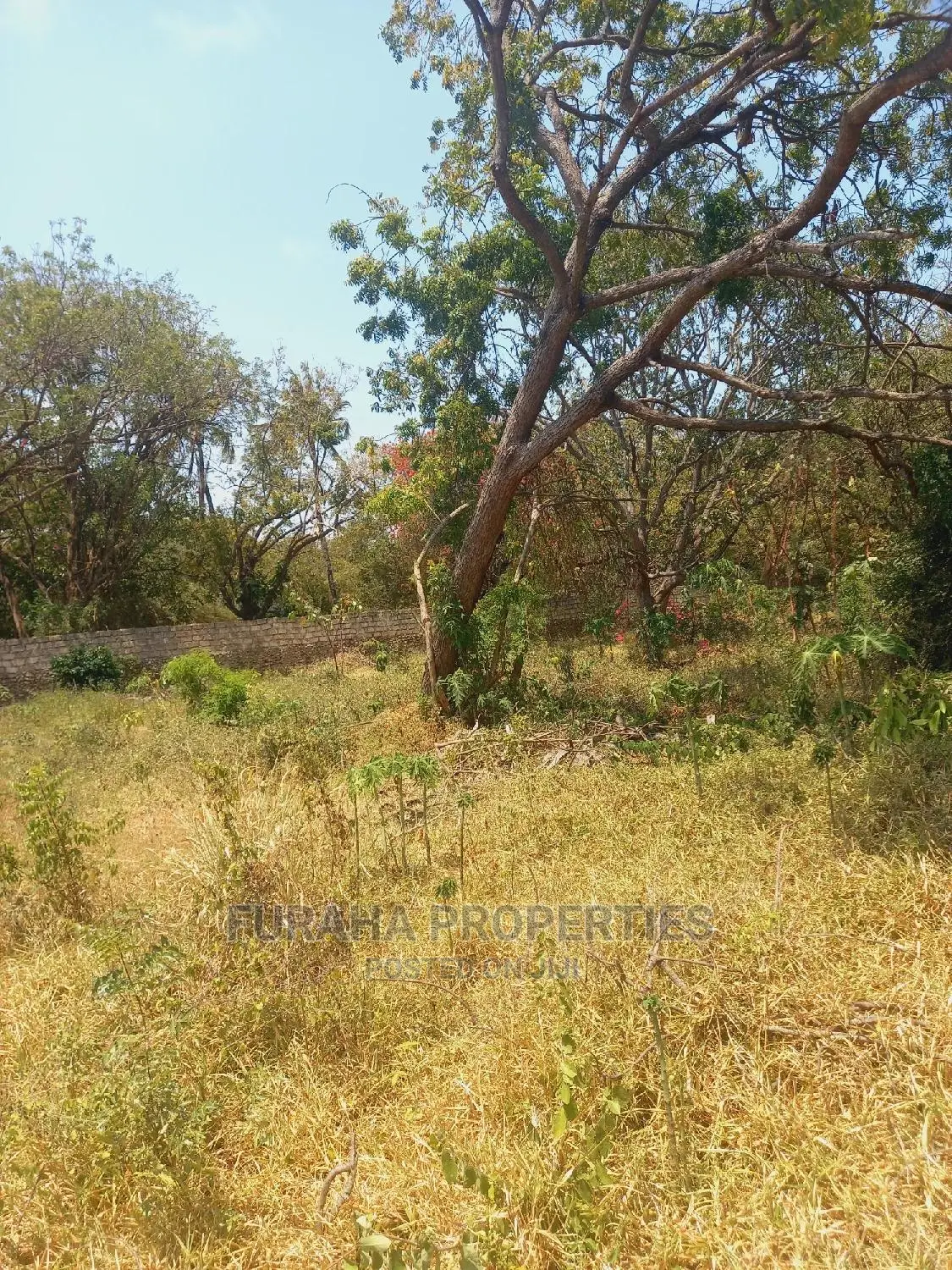 Prime Half Acre Plots for Sale in Nyali - Affordable & Convenient Living in Nyali