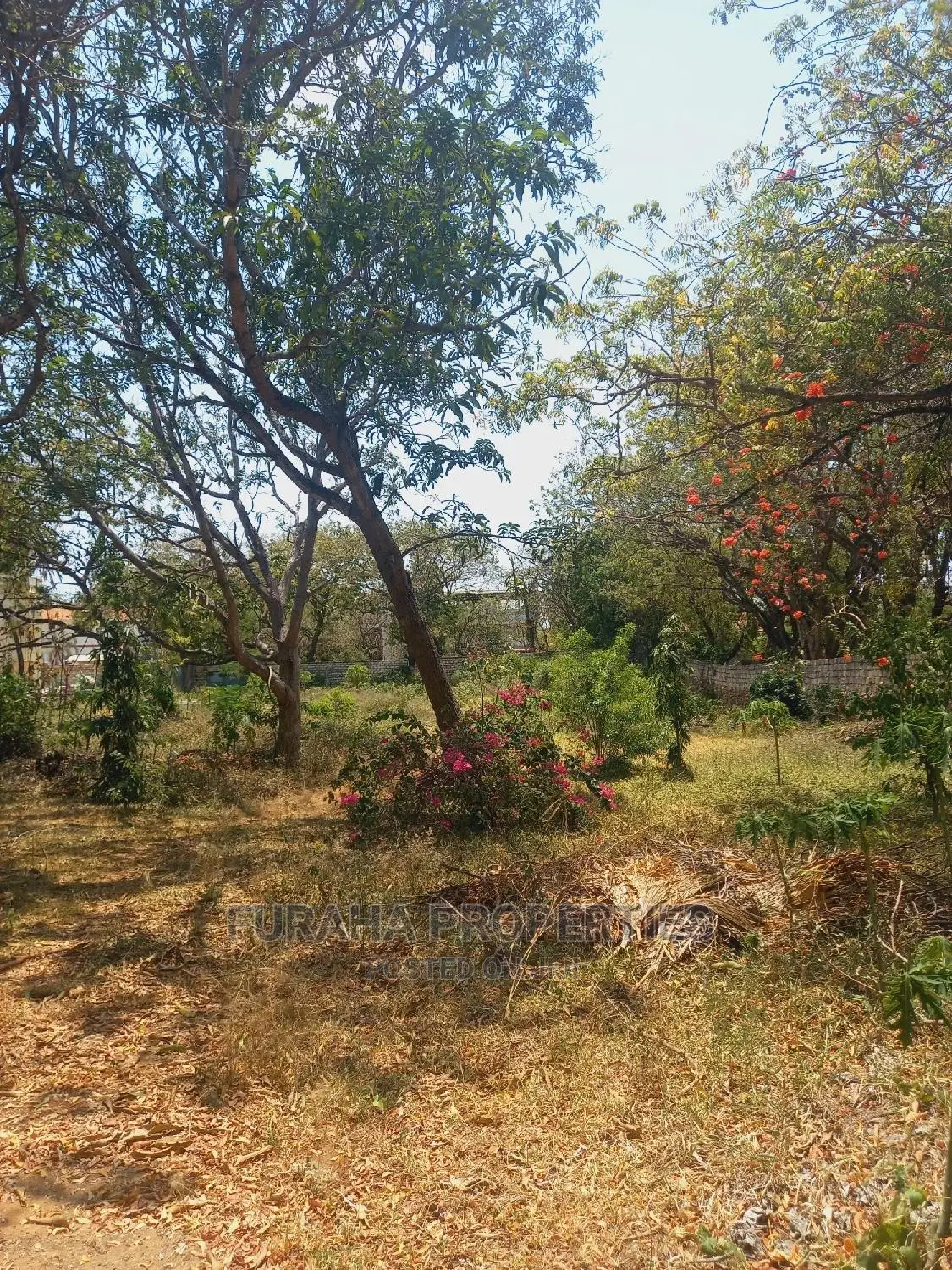 Prime Half Acre Plots for Sale in Nyali - Affordable & Convenient Living in Nyali