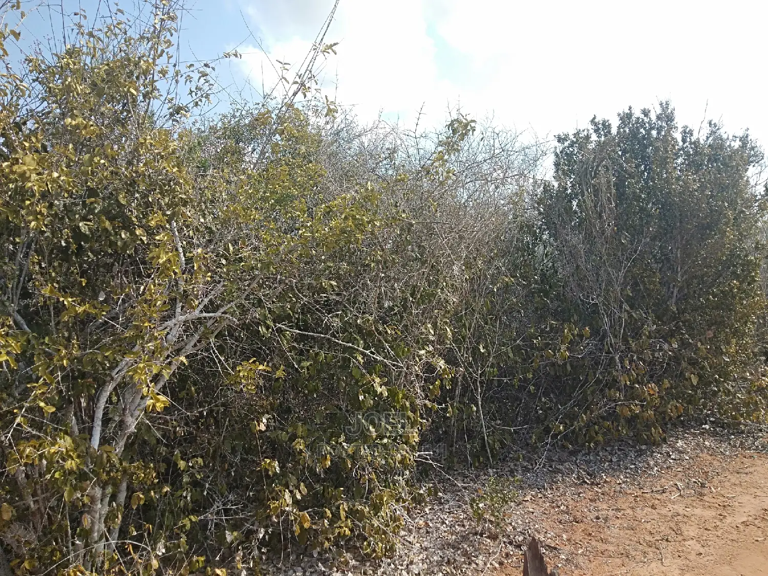 Malindi: 24-acre Land for Sale - Don't Miss Out in Malindi