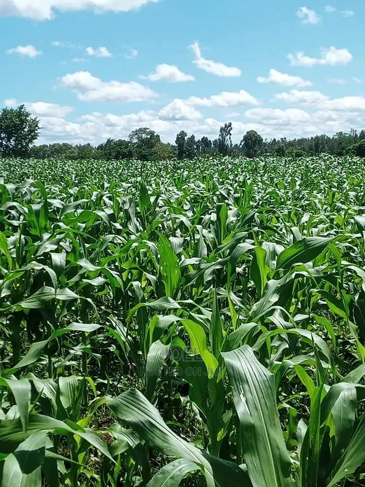 38 Acres of Land for Sale in Malindi in Malindi