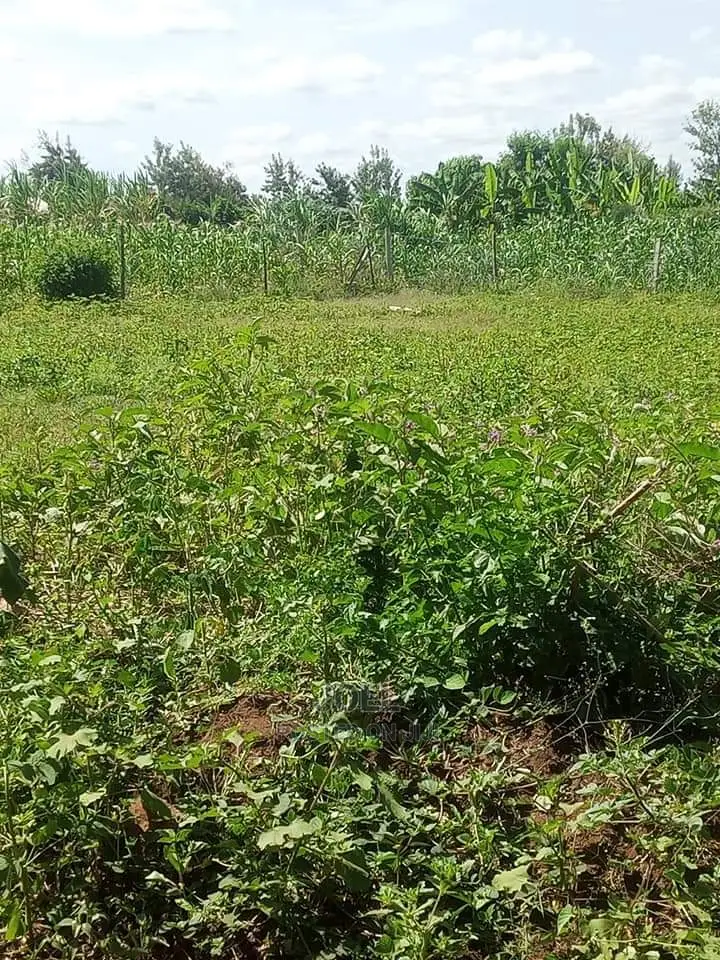 3-Acre Land in Malindi - Perfect for Development! in Malindi