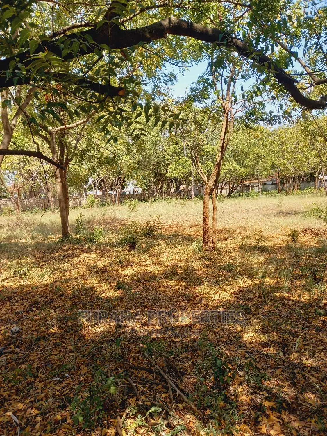 Prime 1 Acre Land for Sale in Old Nyali - Capitalize on Great Opportunity in Nyali
