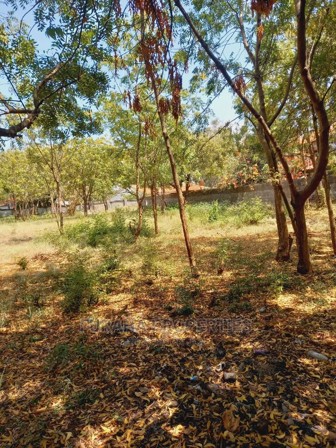 Prime 1 Acre Land for Sale in Old Nyali - Capitalize on Great Opportunity in Nyali
