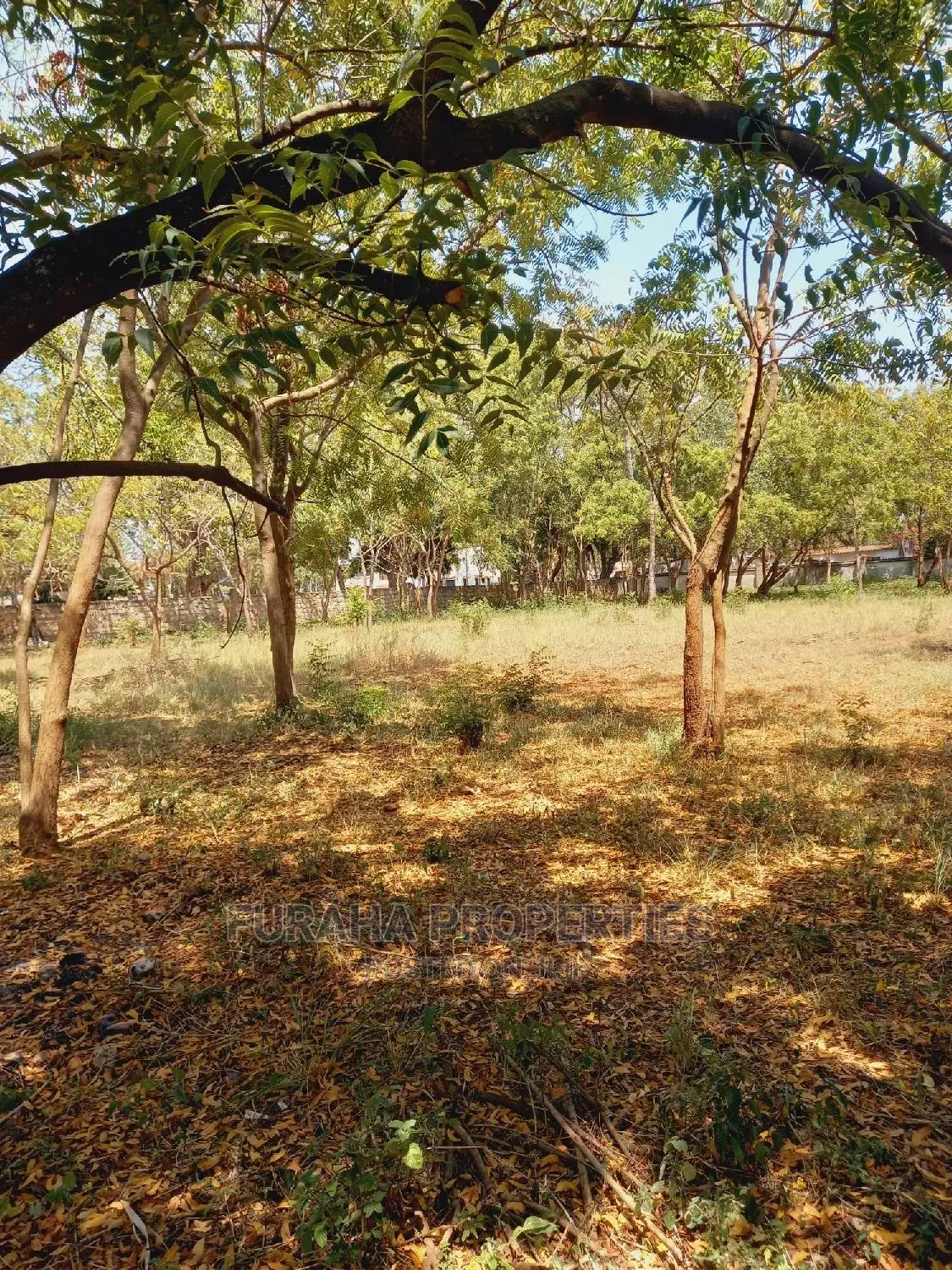 Prime 1 Acre Land for Sale in Old Nyali - Capitalize on Great Opportunity in Nyali