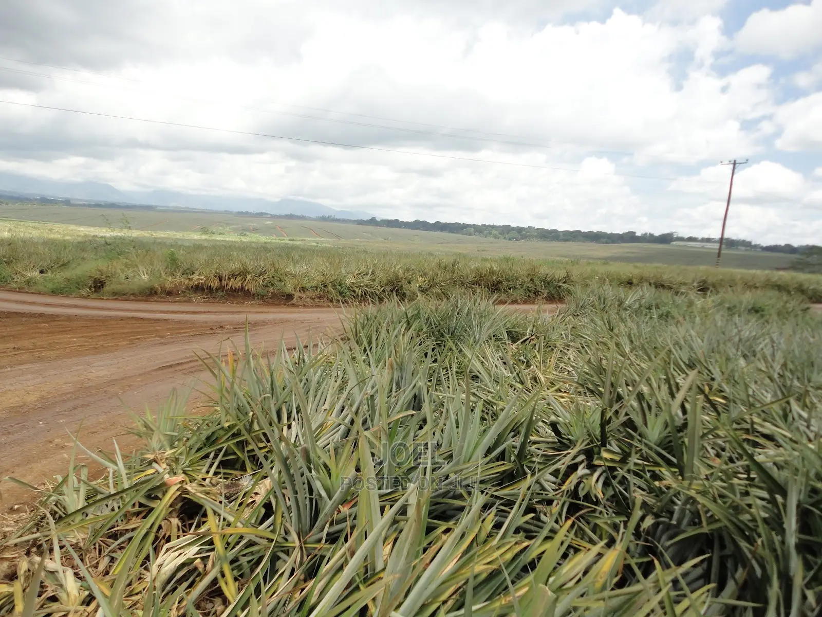 Malindi Real Estate: 55 Acres of Land Available in Town Centre