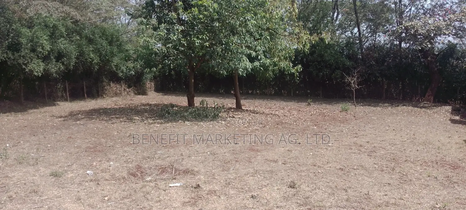Quarter Acre Commercial Property in Ngong Town for Sale in Ngong CBD
