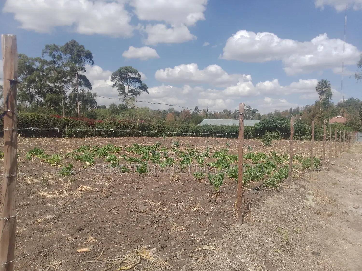 Ngong, Matasia, Memusi Road. 3⁄4 Acre Plots for Sale. in Ngong CBD