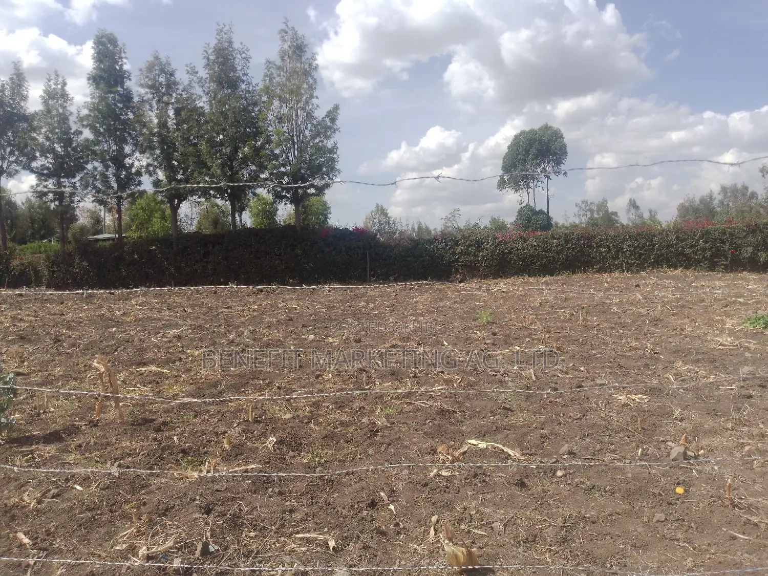 Ngong, Matasia, Memusi Road. 3⁄4 Acre Plots for Sale. in Ngong CBD