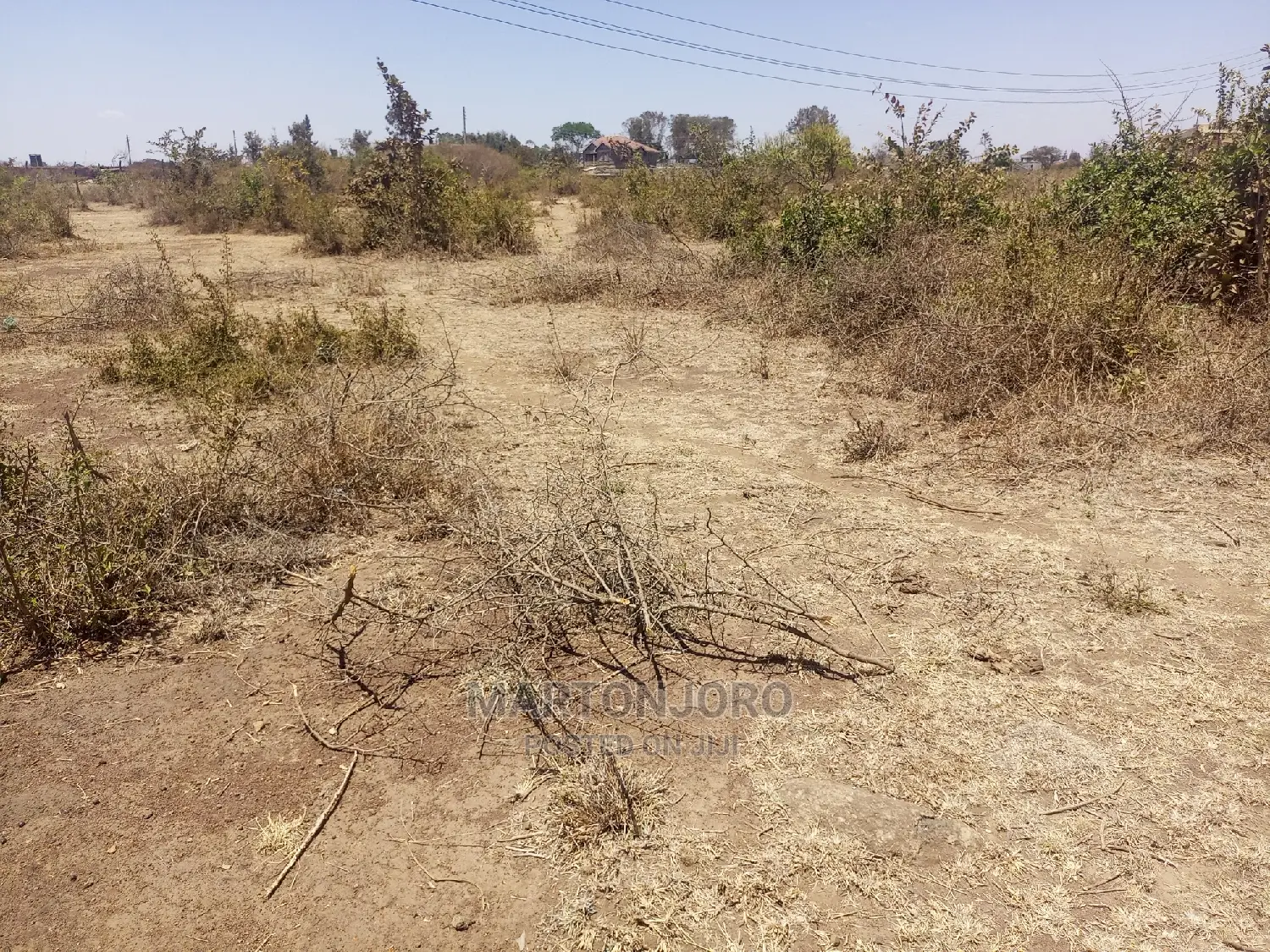 Gatuanyaga Muguga Residential Plots in Makongeni / Thika