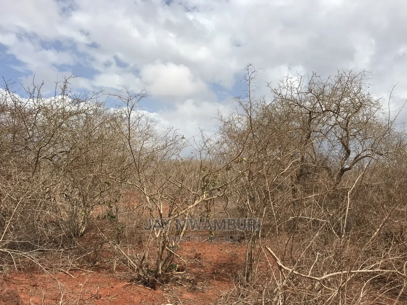 10 Acre Land Malindi1 in Jilore