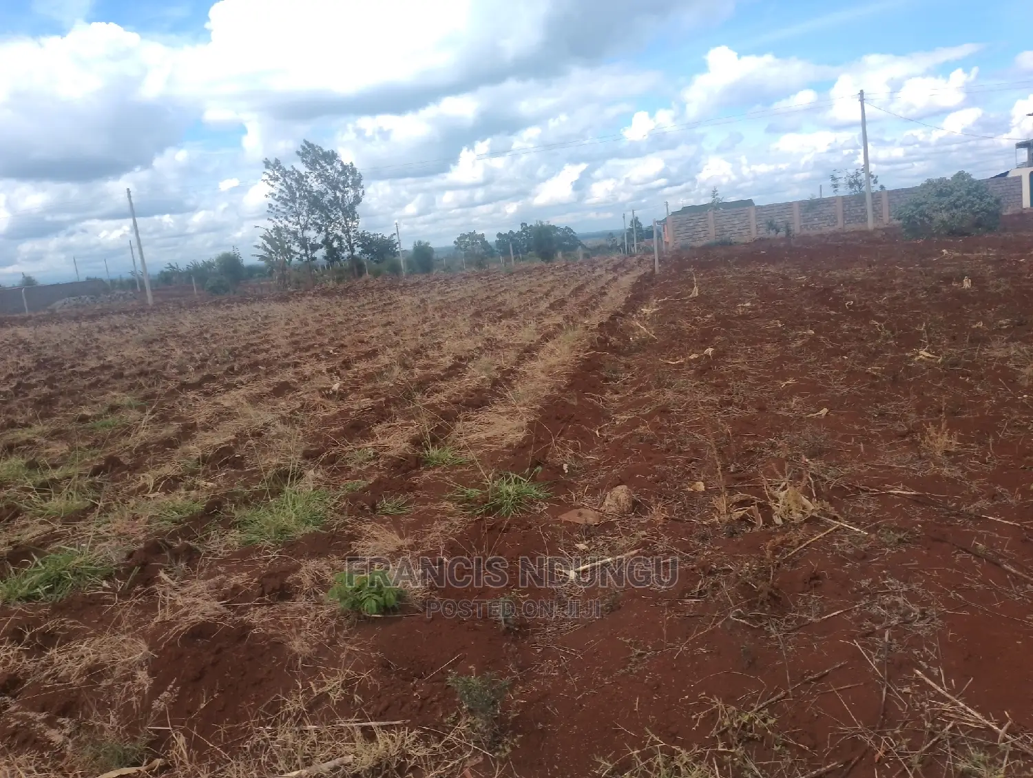 Residential Plot for Sale in Anmer Estate Next to Migaa in Tinganga