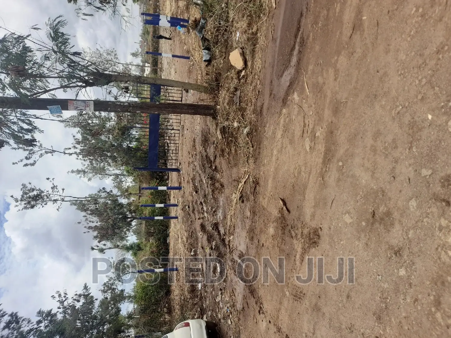 Plots for Immediate Development in Kamakis in Kamakis