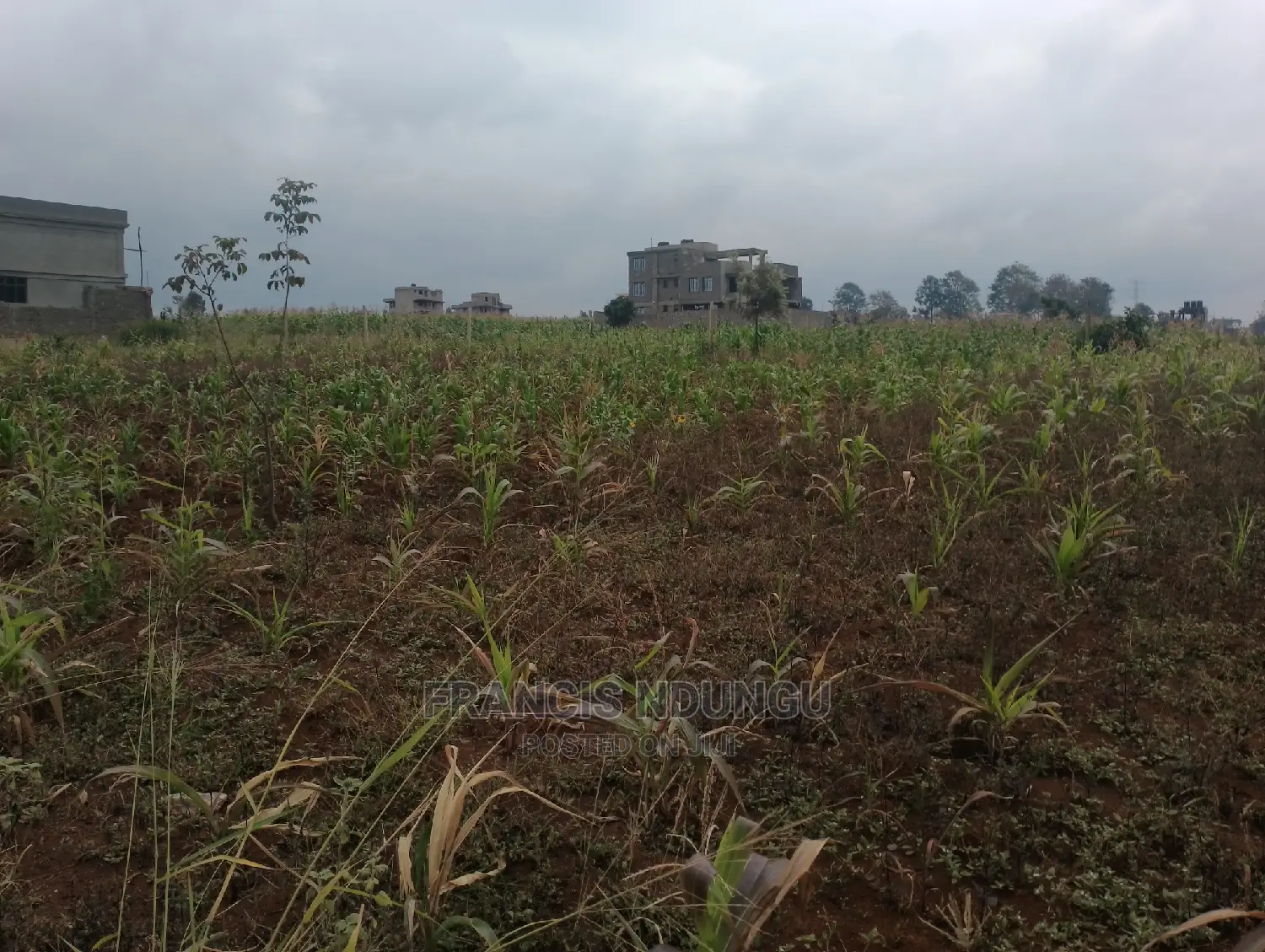 Residential Plots Near Migaa Estate. Matrofi Estate. in Tinganga