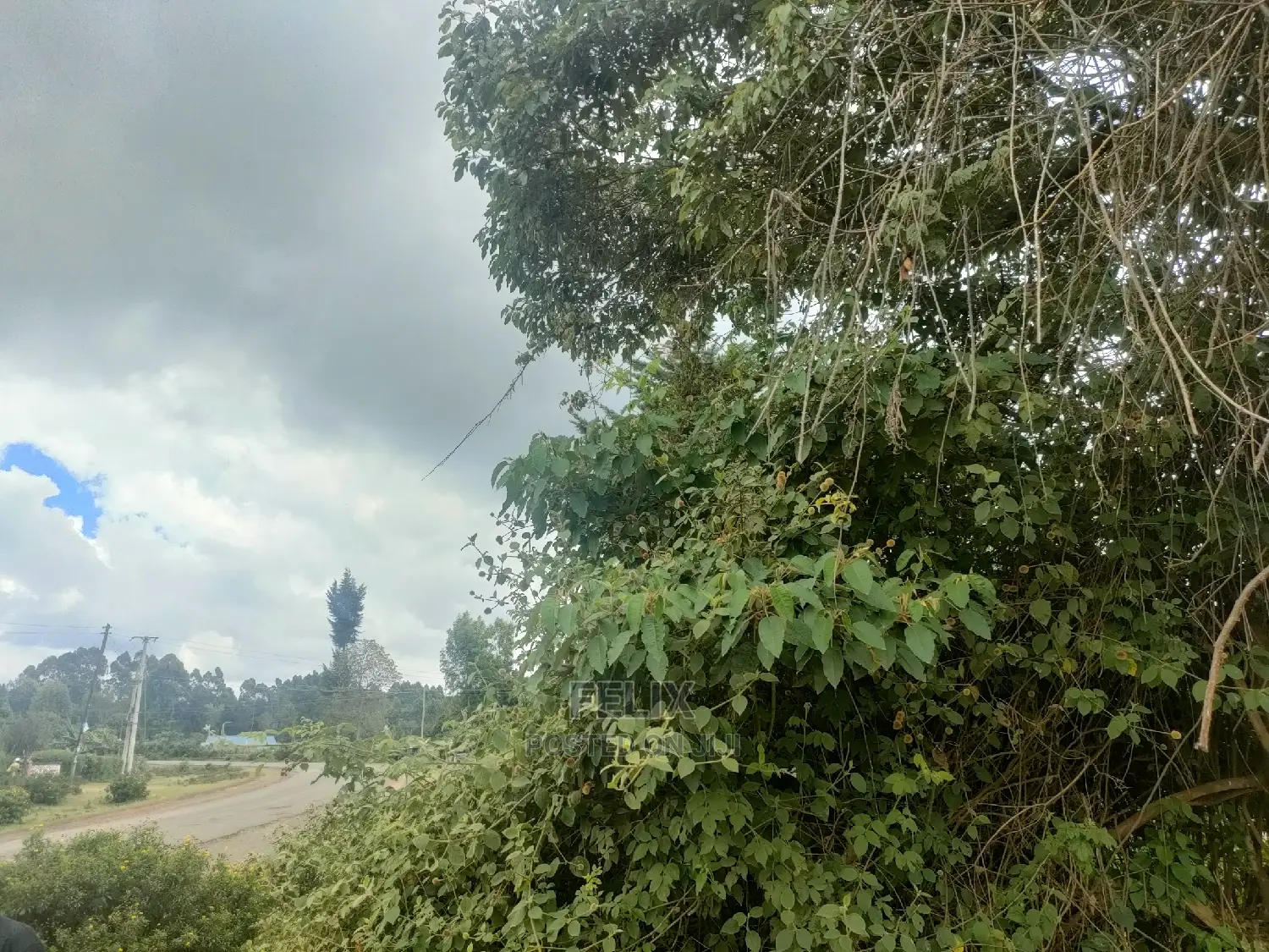 4 Acres Karatina/Kagochi Campus Main Tarmac at Gatei in Karatina Town