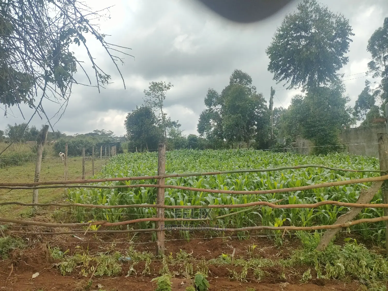 4 Acres Karatina/Kagochi Campus Main Tarmac at Gatei in Karatina Town