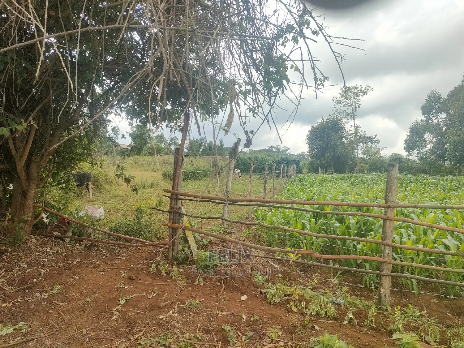 4 Acres Karatina/Kagochi Campus Main Tarmac at Gatei in Karatina Town