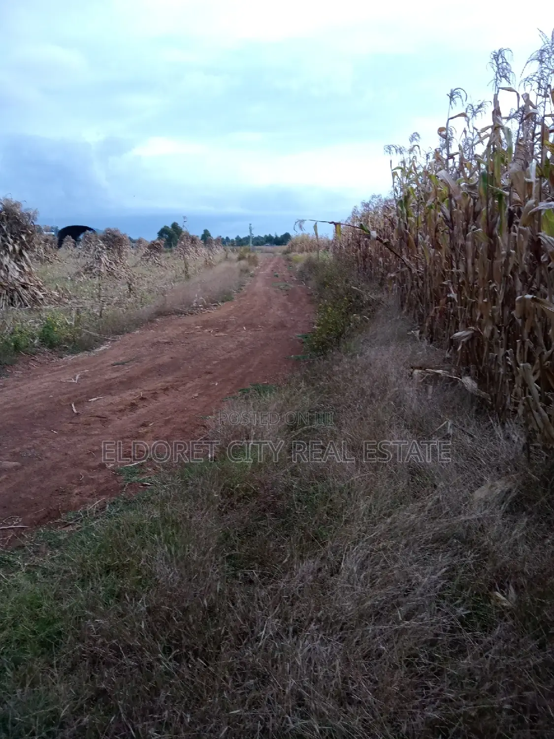 Ilula Land Title: 0.4-hectare Plot Waiting for You - Perfect for Investment or Building in Eldoret CBD