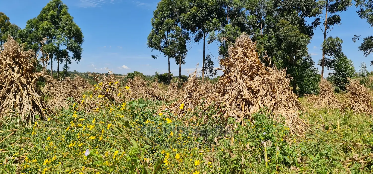 Homestead Property on 7 Acres in Mlango Kapseret Eldoret for Sale in Kapseret
