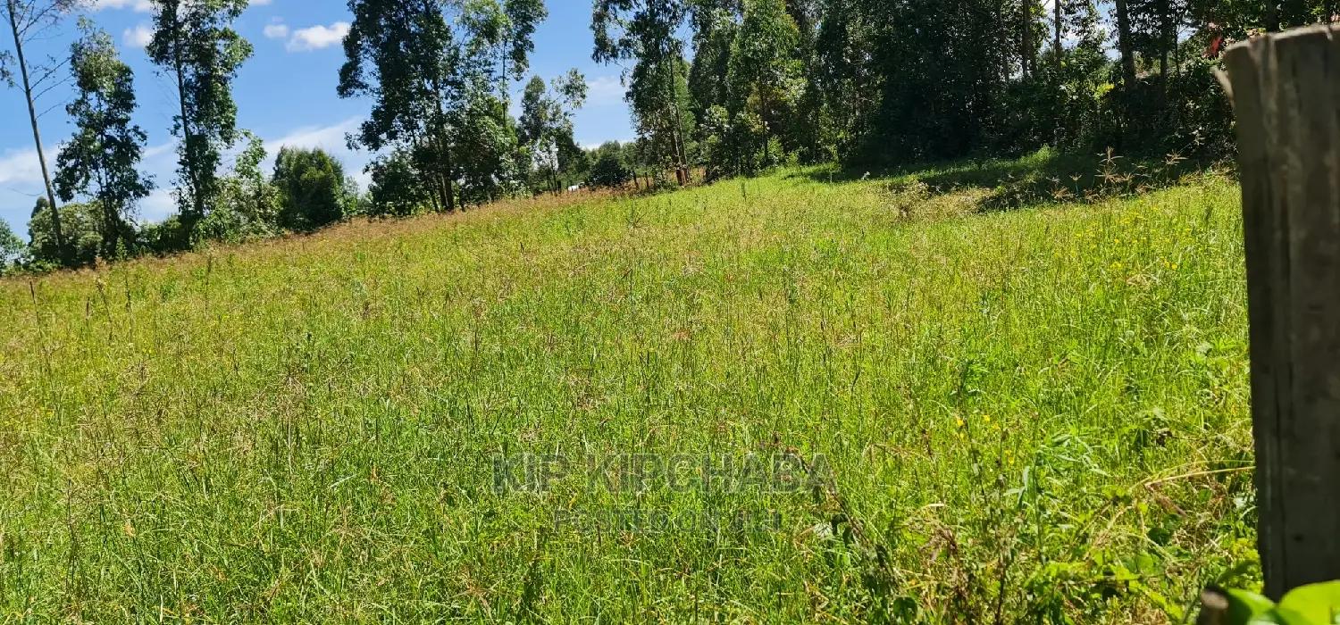 Homestead Property on 7 Acres in Mlango Kapseret Eldoret for Sale in Kapseret