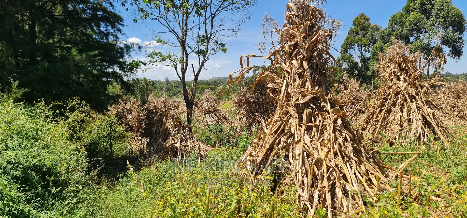 Homestead Property on 7 Acres in Mlango Kapseret Eldoret for Sale in Kapseret