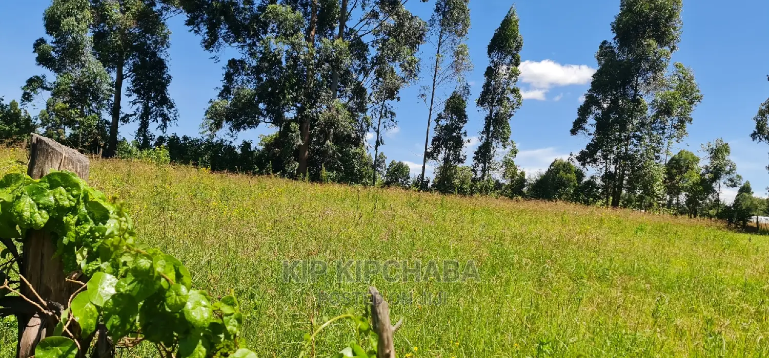 Homestead Property on 7 Acres in Mlango Kapseret Eldoret for Sale in Kapseret