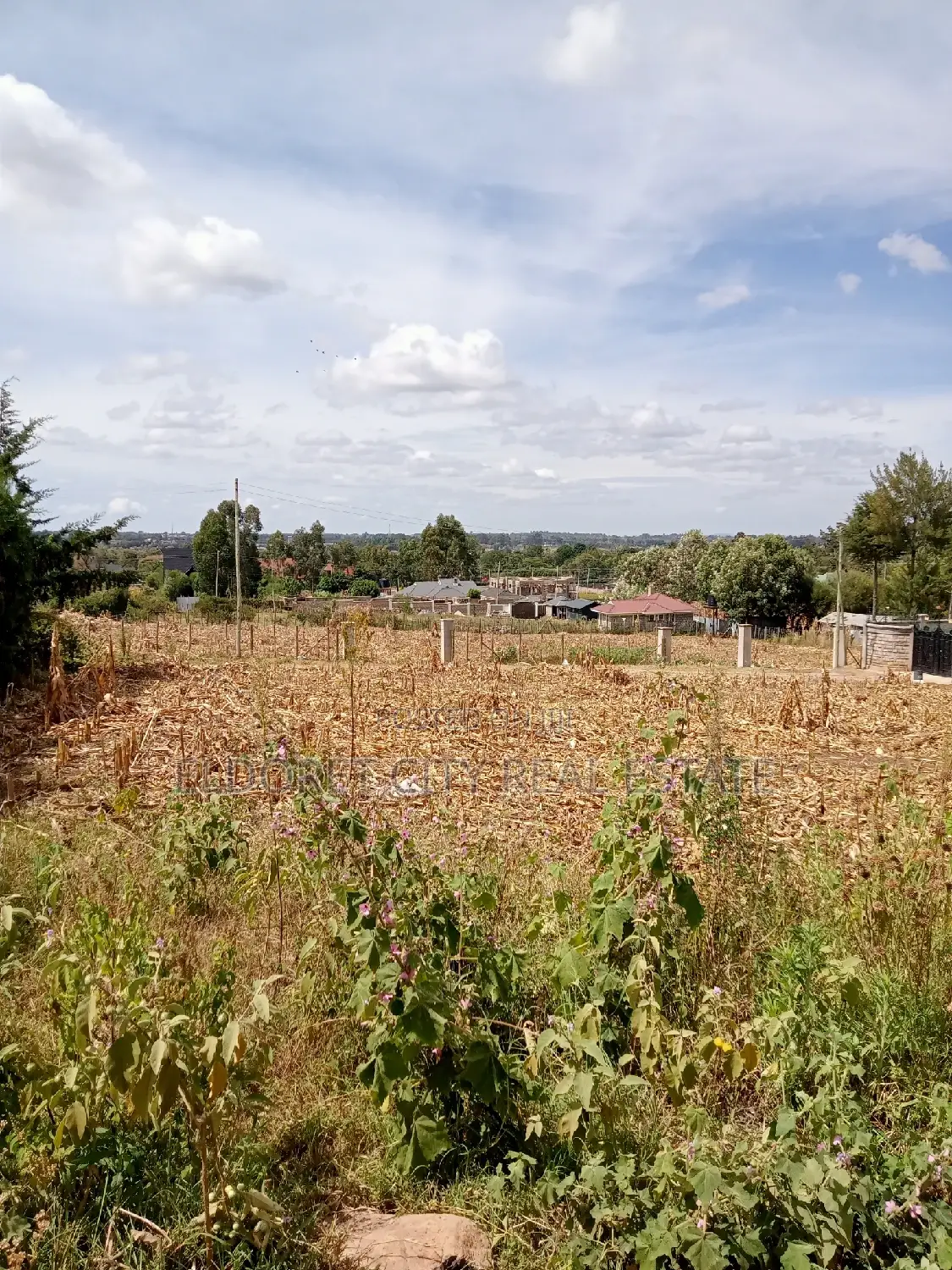 Hillside Nean Kenmosa: 1/4 Plot for Sale in Eldoret CBD