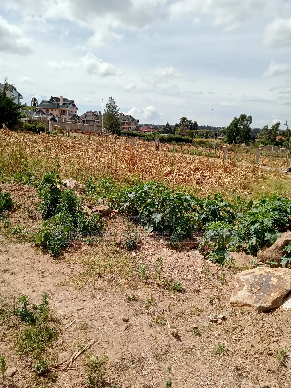 Hillside Nean Kenmosa: 1/4 Plot for Sale in Eldoret CBD