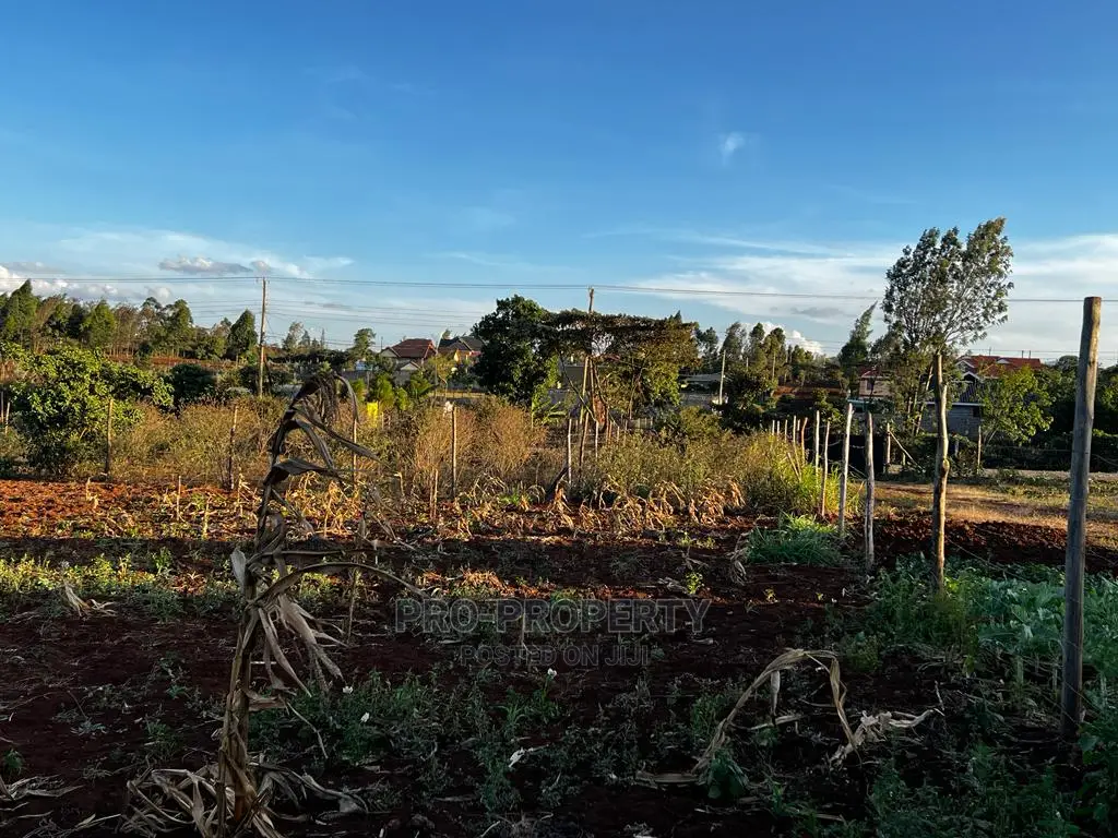 Luxurious 1-Acre Residential Plot for Sale in Gikambura, Kikuyu - Seize the Opportunity Today! in Karai