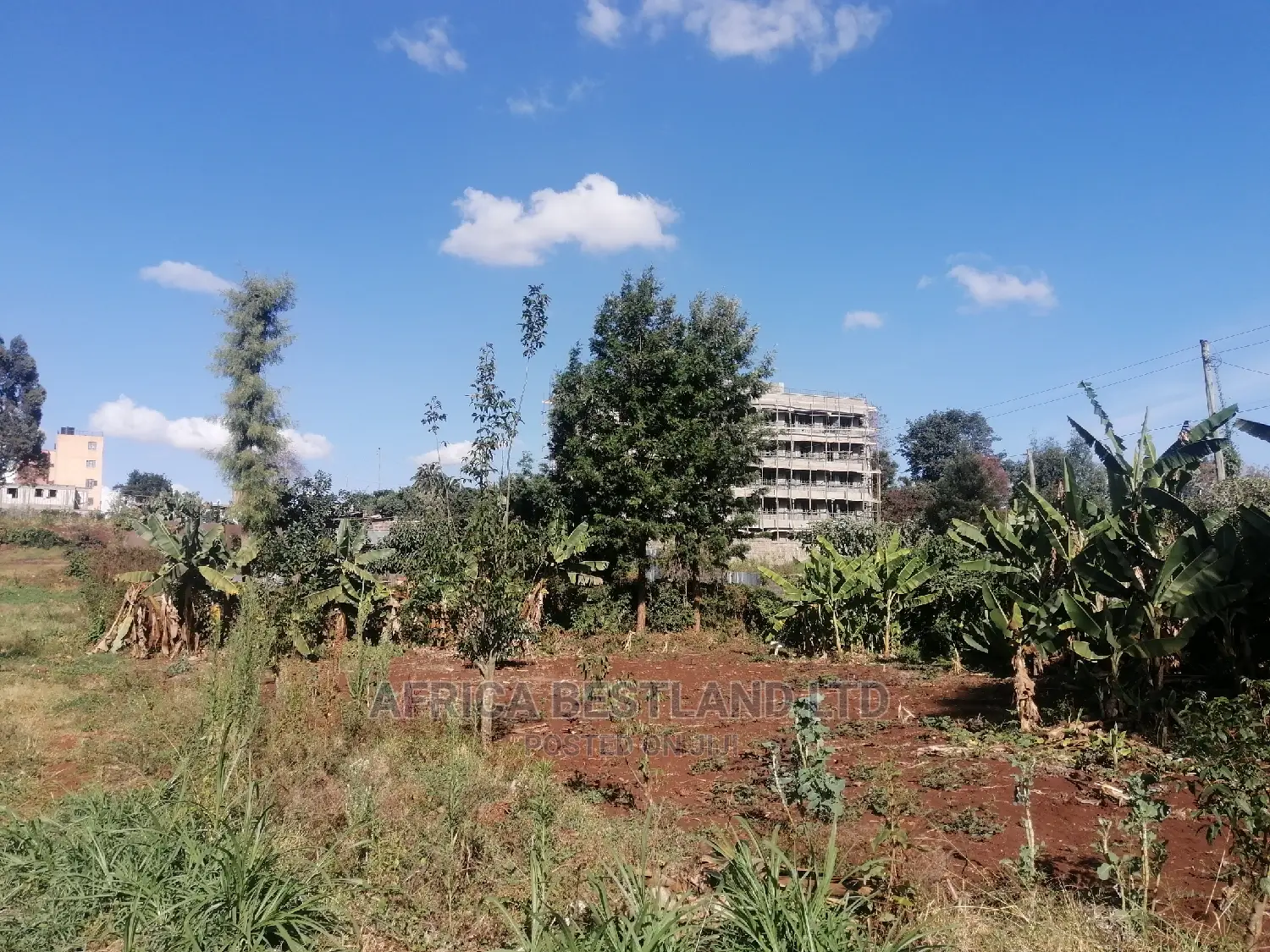 50x100 Commercial Plot for Sale in Kikuyu Gitaru in Kikuyu