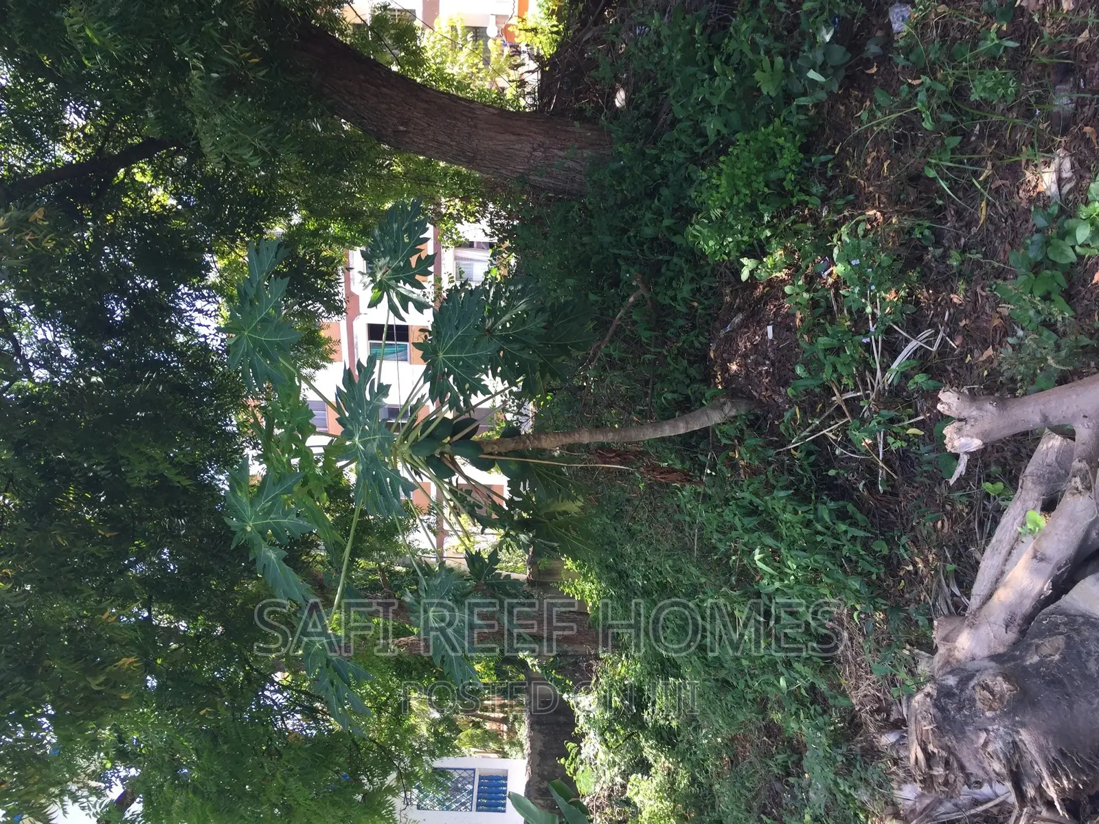 Prime Nyali Estate Plot Available: 1/8 (50 by 100) - Perfect for Your Dream Home in Nyali