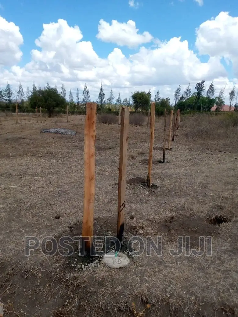 Commercial Plots 500 Meters Off the Road^CN in Kamulu
