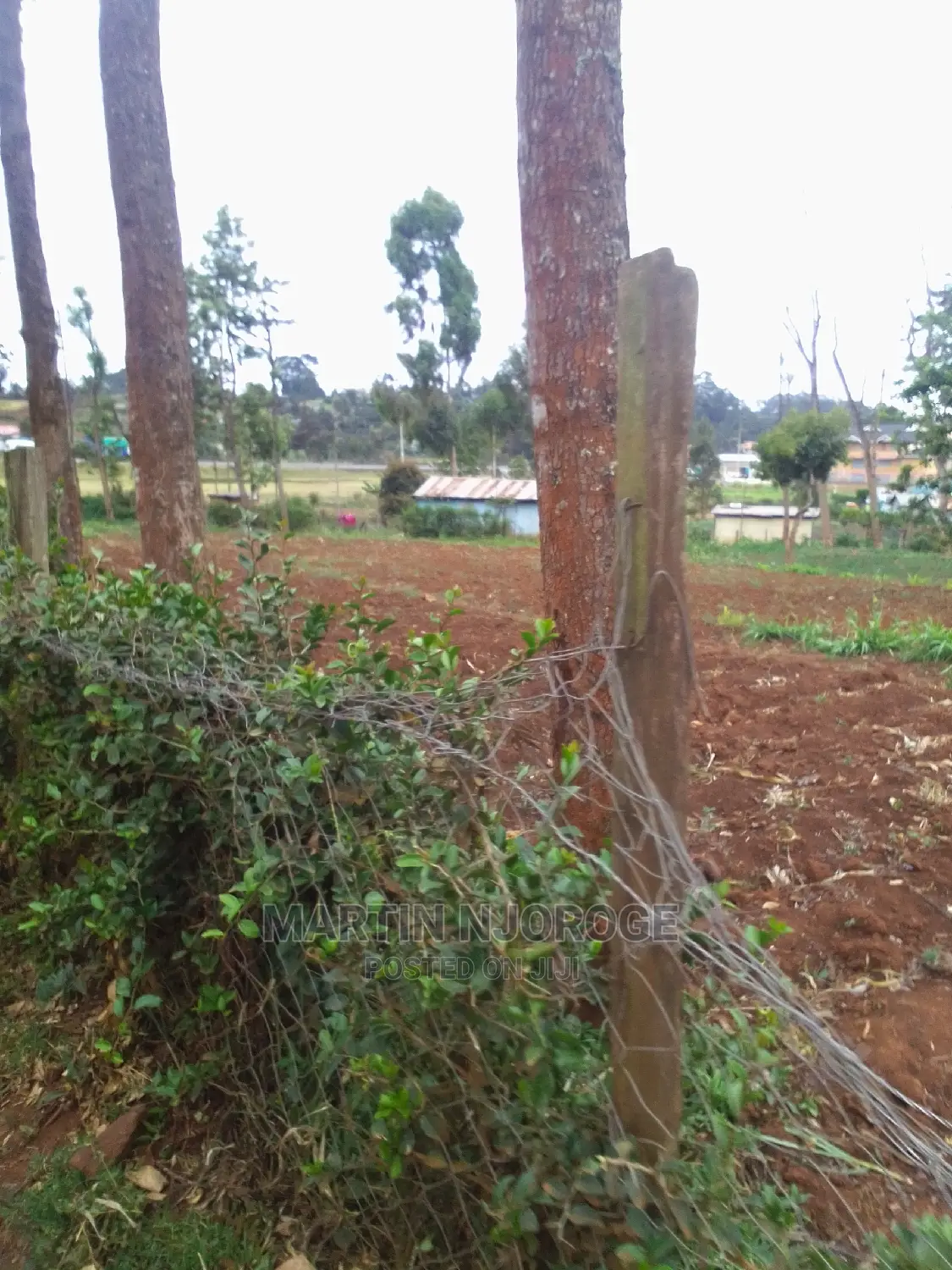 1⁄4 Acre Plot Murengeti in Bibirioni