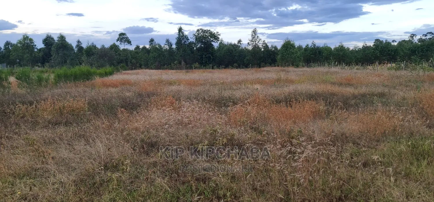 Full 1⁄2 Acre Plot for Sale in Kiplombe Eldoret in Kiplombe