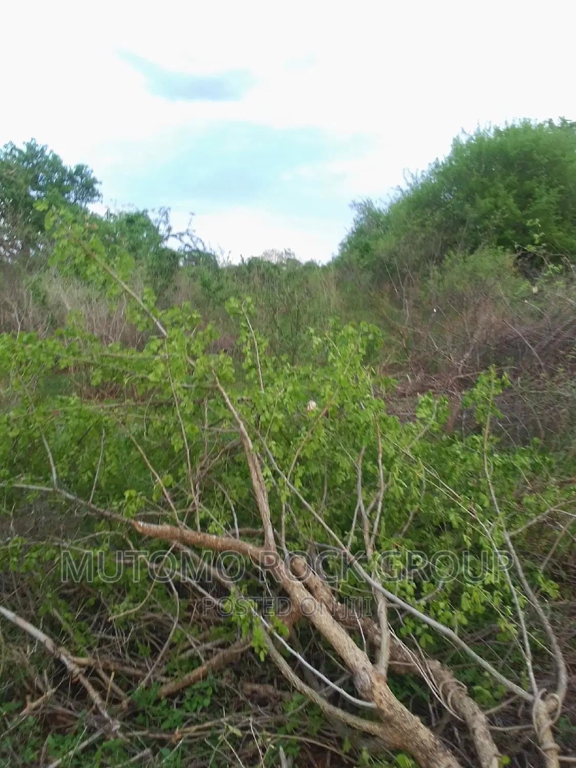 160acres for Sale in Mutomo